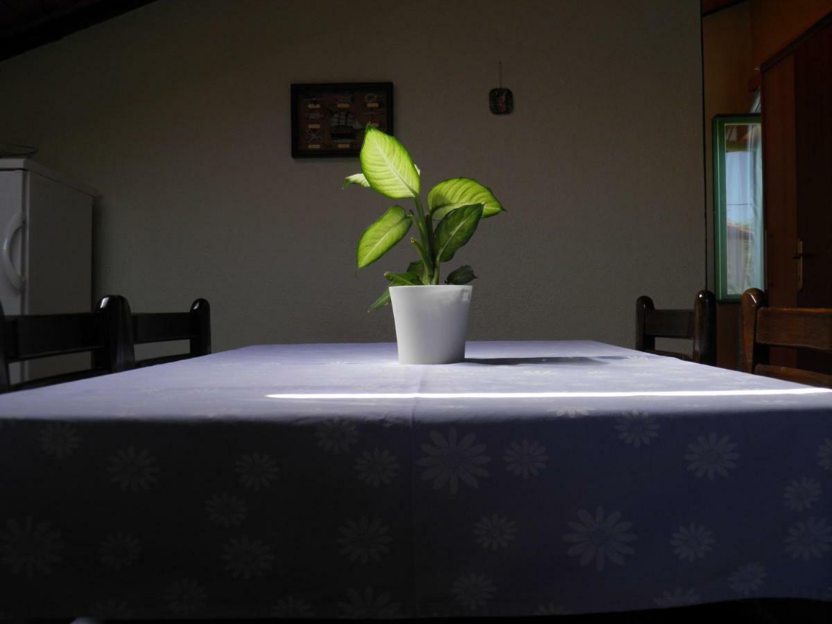 Apartman Mia Biograd Biograd Na Moru Buitenkant foto
