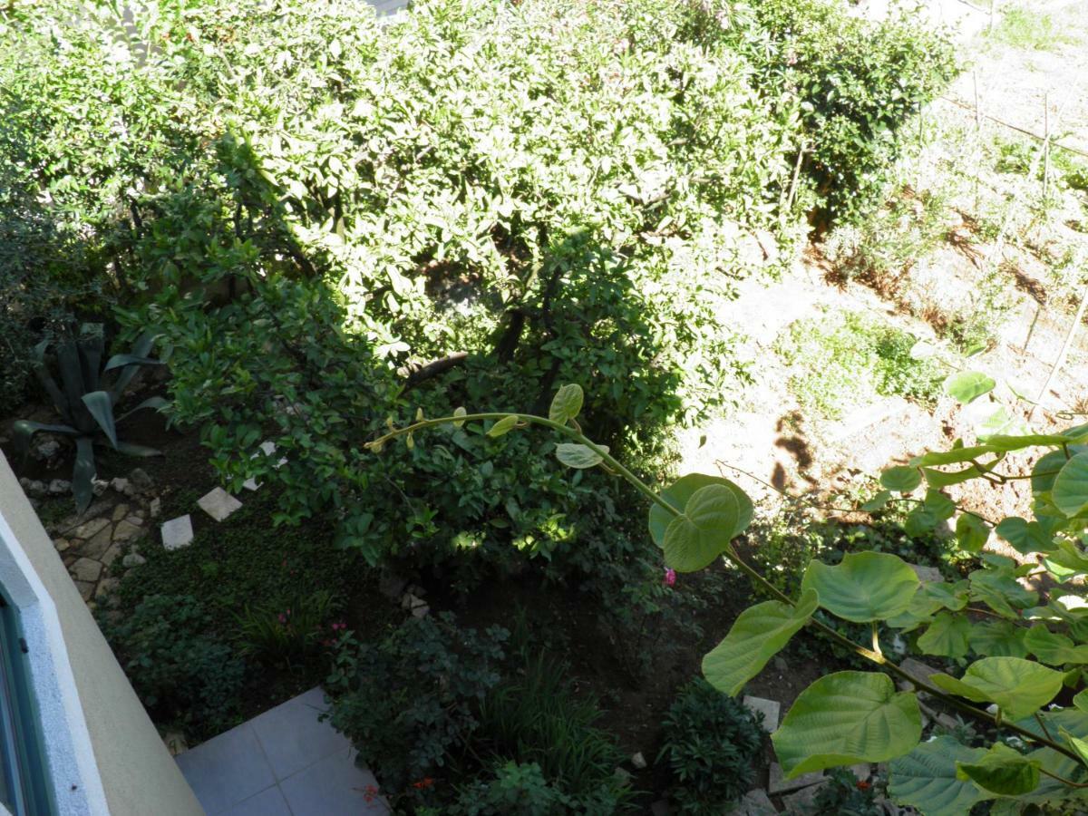 Apartman Mia Biograd Biograd Na Moru Buitenkant foto